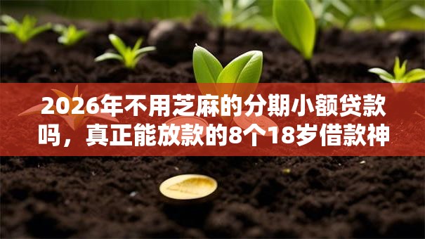 2026年不用芝麻的分期小额贷款吗，真正能放款的8个18岁借款神器快速下款平台推荐