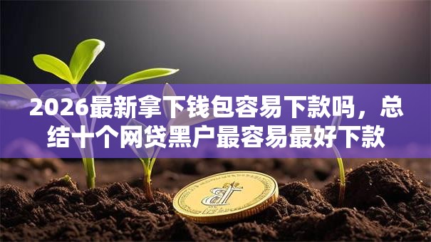 2026最新拿下钱包容易下款吗，总结十个网贷黑户最容易最好下款的平台！