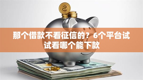 那个借款不看征信的？6个平台试试看哪个能下款