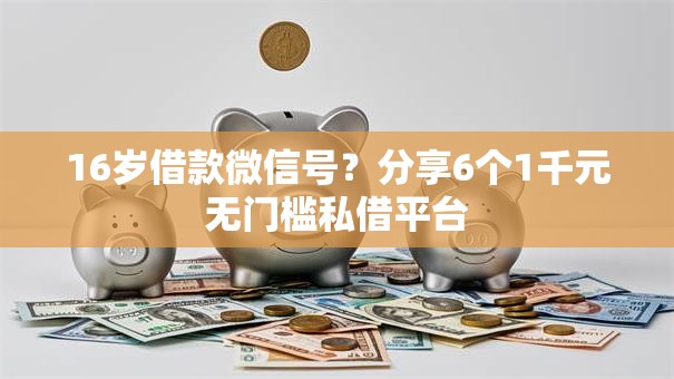 16岁借款微信号？分享6个1千元无门槛私借平台