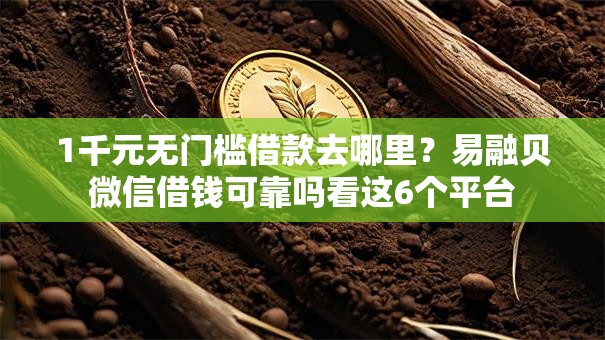 1千元无门槛借款去哪里？易融贝微信借钱可靠吗看这6个平台