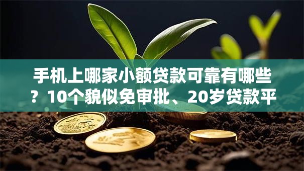 手机上哪家小额贷款可靠有哪些？10个貌似免审批、20岁贷款平台合集