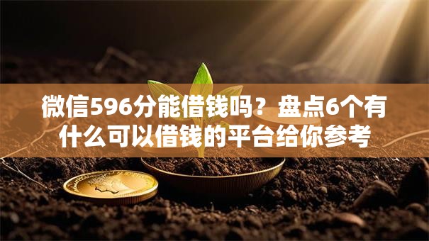 微信596分能借钱吗？盘点6个有什么可以借钱的平台给你参考