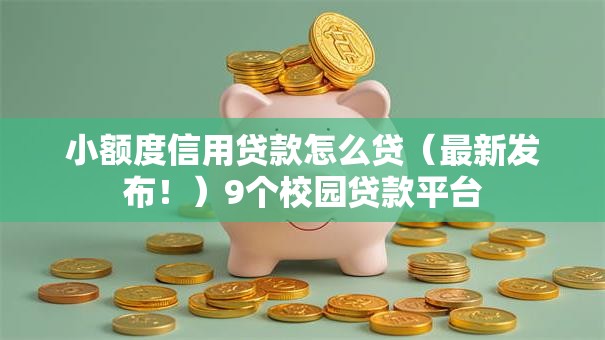 小额度信用贷款怎么贷（最新发布！）9个校园贷款平台