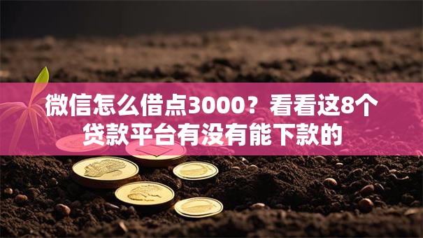 微信怎么借点3000？看看这8个贷款平台有没有能下款的