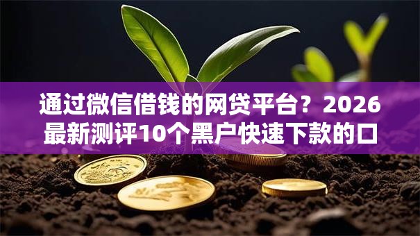 通过微信借钱的网贷平台？2026最新测评10个黑户快速下款的口子