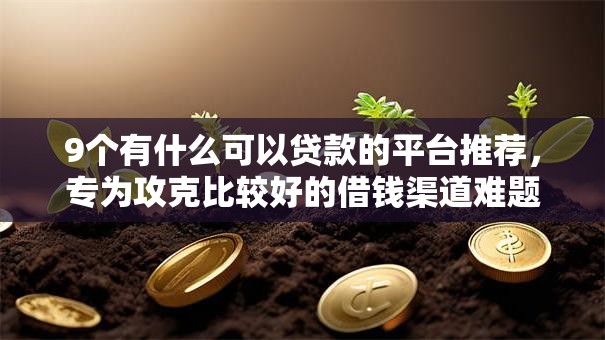 9个有什么可以贷款的平台推荐，专为攻克比较好的借钱渠道难题