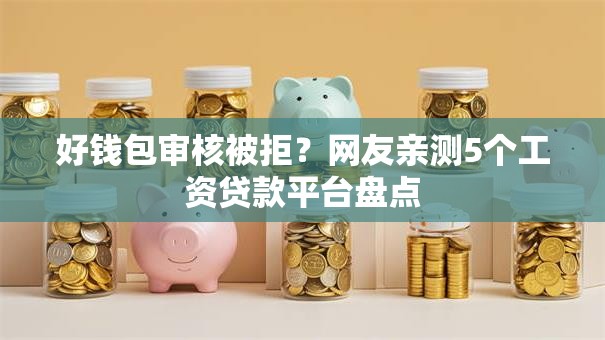 好钱包审核被拒？网友亲测5个工资贷款平台盘点
