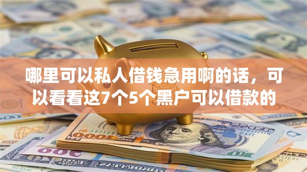 哪里可以私人借钱急用啊的话，可以看看这7个5个黑户可以借款的网贷app