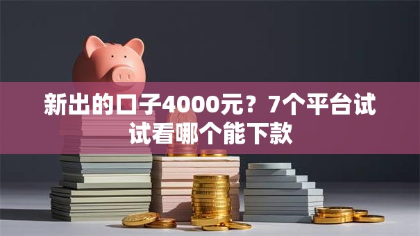 新出的口子4000元？7个平台试试看哪个能下款