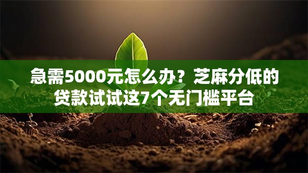 急需5000元怎么办？芝麻分低的贷款试试这7个无门槛平台