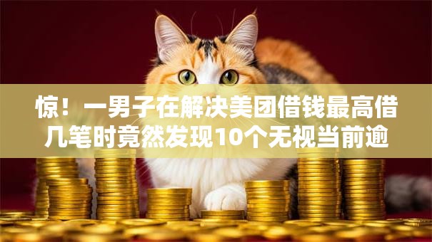惊！一男子在解决美团借钱最高借几笔时竟然发现10个无视当前逾期无视征信的借款口子，事后分享了出来