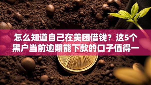 怎么知道自己在美团借钱？这5个黑户当前逾期能下款的口子值得一试