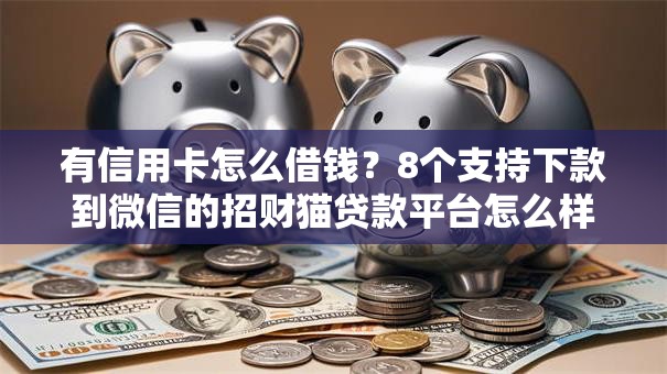 有信用卡怎么借钱?8个支持下款到微信的招财猫贷款平台怎么样 有信用卡怎么借钱?8个支持下款到微信的招财猫贷款平台怎么样