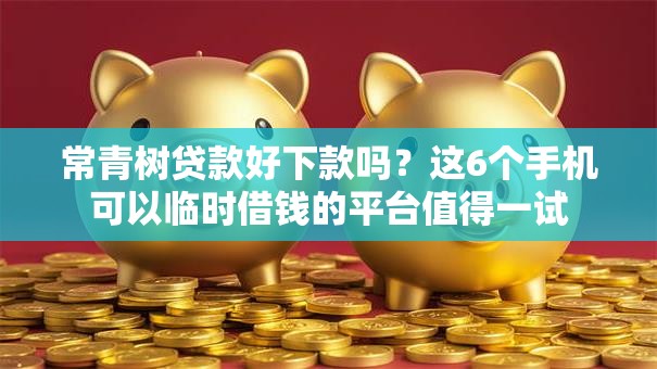 常青树贷款好下款吗？这6个手机可以临时借钱的平台值得一试