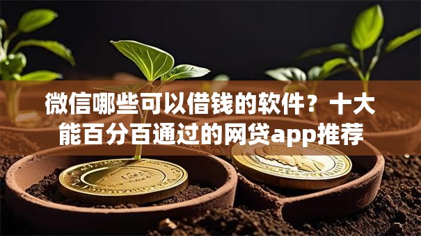 微信哪些可以借钱的软件？十大能百分百通过的网贷app推荐