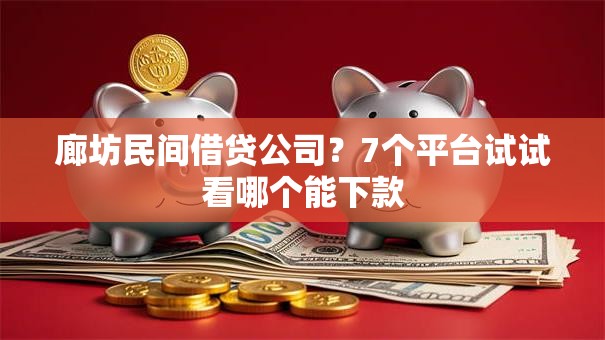 廊坊民间借贷公司？7个平台试试看哪个能下款