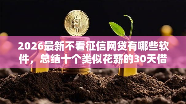 2026最新不看征信网贷有哪些软件，总结十个类似花薪的30天借款平台！