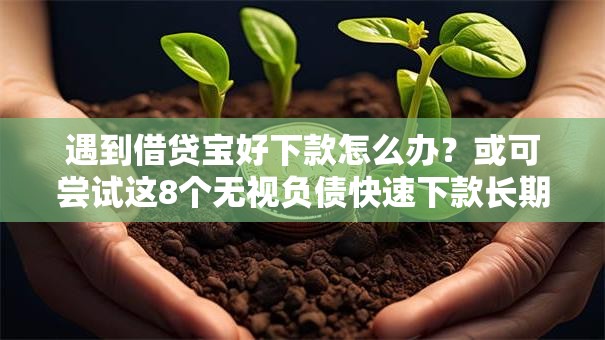 遇到借贷宝好下款怎么办？或可尝试这8个无视负债快速下款长期网贷的口子