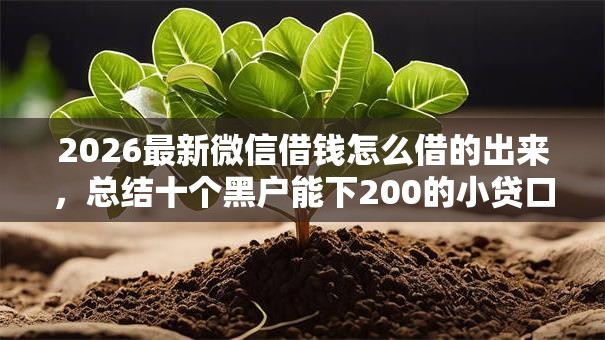 2026最新微信借钱怎么借的出来，总结十个黑户能下200的小贷口子！