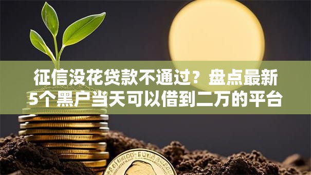 征信没花贷款不通过？盘点最新5个黑户当天可以借到二万的平台