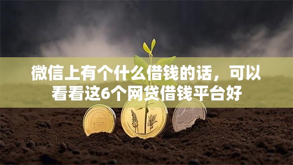 微信上有个什么借钱的话，可以看看这6个网贷借钱平台好