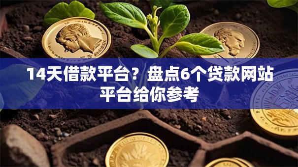 14天借款平台？盘点6个贷款网站平台给你参考