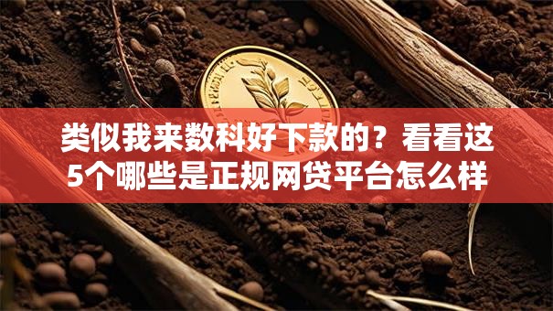 类似我来数科好下款的?看看这5个哪些是正规网贷平台怎么样 类似我来数科好下款的?看看这5个哪些是正规网贷平台怎么样
