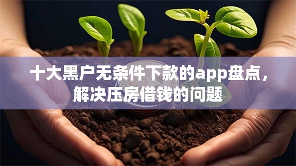 十大黑户无条件下款的app盘点，解决压房借钱的问题