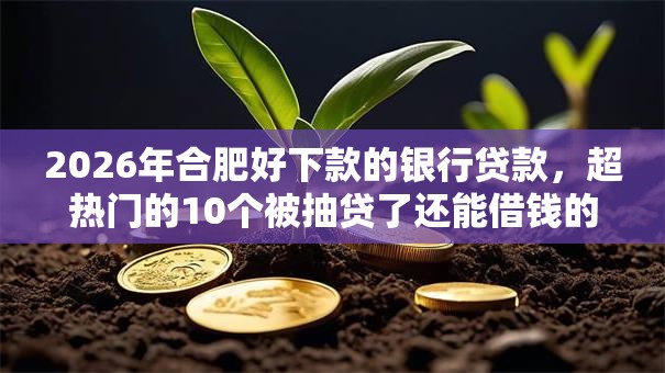 2026年合肥好下款的银行贷款，超热门的10个被抽贷了还能借钱的软件推荐