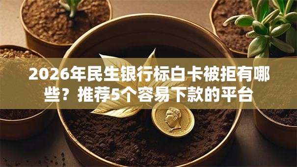 2026年民生银行标白卡被拒有哪些？推荐5个容易下款的平台