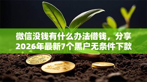 微信没钱有什么办法借钱，分享2026年最新7个黑户无条件下款的软件