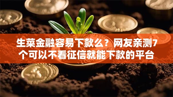 生菜金融容易下款么？网友亲测7个可以不看征信就能下款的平台盘点