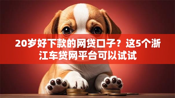 20岁好下款的网贷口子？这5个浙江车贷网平台可以试试