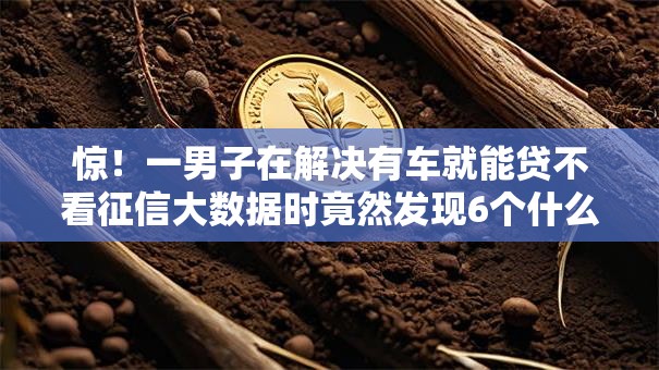 惊！一男子在解决有车就能贷不看征信大数据时竟然发现6个什么借款平台最好借款通过，事后分享了出来
