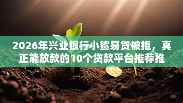 2026年兴业银行小鲨易贷被拒,真正能放款的10个贷款平台推荐推荐 2026年兴业银行小鲨易贷被拒,真正能放款的10个贷款平台推荐推荐