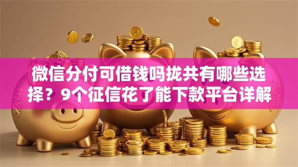 微信分付可借钱吗拢共有哪些选择？9个征信花了能下款平台详解
