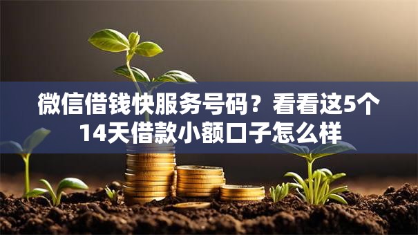 微信借钱快服务号码？看看这5个14天借款小额口子怎么样
