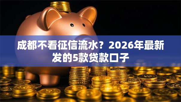 成都不看征信流水?2026年最新发的5款贷款口子 成都不看征信流水?2026年最新发的5款贷款口子