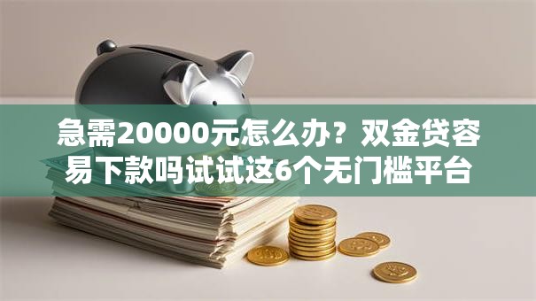 急需20000元怎么办？双金贷容易下款吗试试这6个无门槛平台
