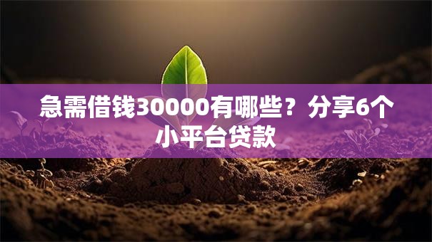 急需借钱30000有哪些？分享6个小平台贷款