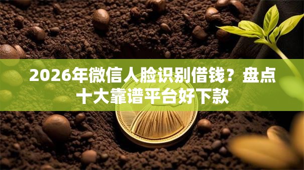 2026年微信人脸识别借钱？盘点十大靠谱平台好下款