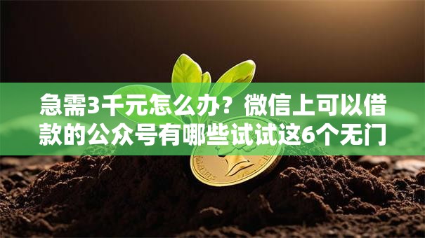 急需3千元怎么办？微信上可以借款的公众号有哪些试试这6个无门槛平台