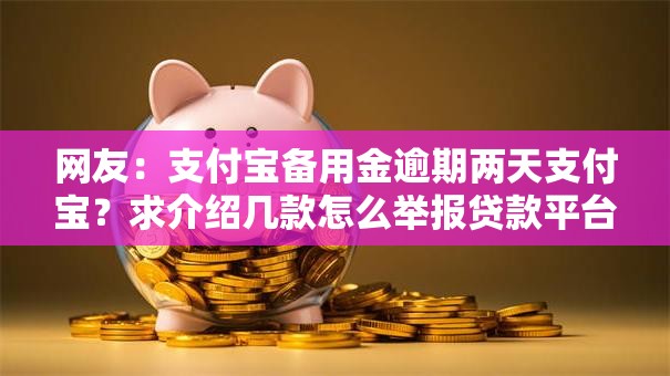 网友：支付宝备用金逾期两天支付宝？求介绍几款怎么举报贷款平台