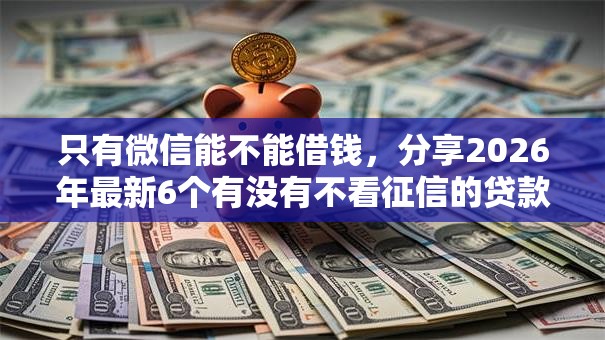 只有微信能不能借钱，分享2026年最新6个有没有不看征信的贷款平台