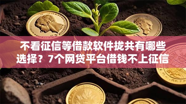 不看征信等借款软件拢共有哪些选择？7个网贷平台借钱不上征信记录的详解