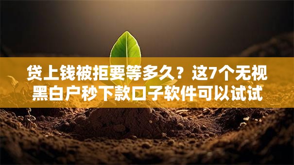 贷上钱被拒要等多久？这7个无视黑白户秒下款口子软件可以试试