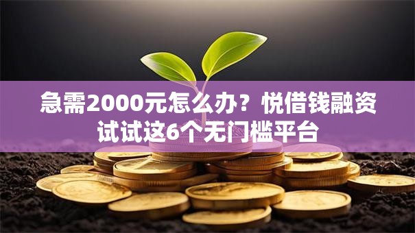急需2000元怎么办？悦借钱融资试试这6个无门槛平台