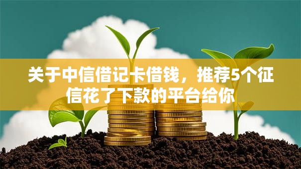 关于中信借记卡借钱，推荐5个征信花了下款的平台给你