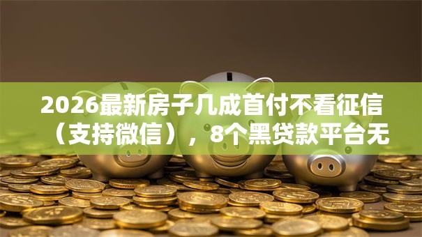 2026最新房子几成首付不看征信（支持微信），8个黑贷款平台无私分享